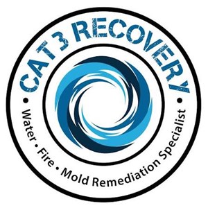 Photo of Cat 3 Recovery LLC