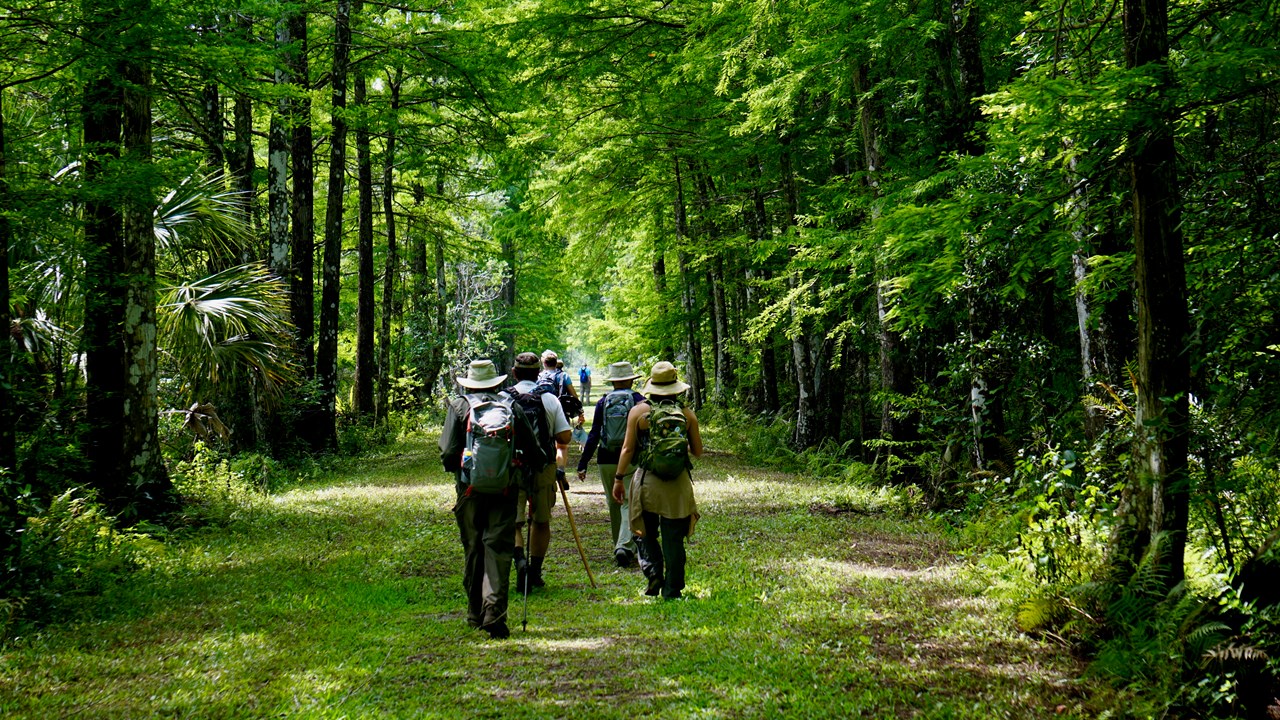 Guided Hike at CREW Bird Rookery Swamp