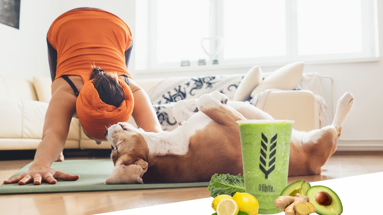 healthy weight loss and detox smoothies at fibrre