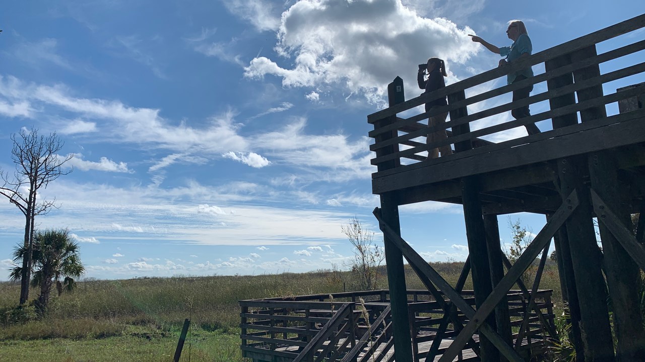 Observation Tower at CREW Marsh Trails