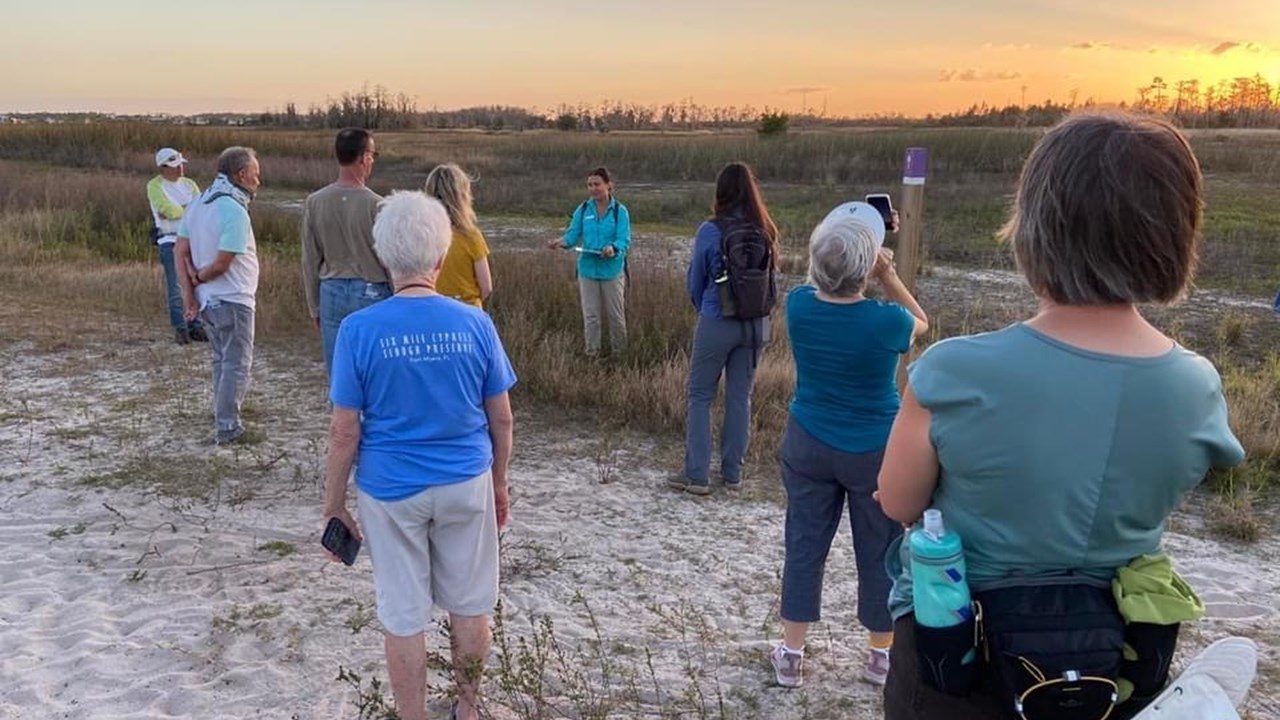 Sunset Guided Walk at CREW Flint Pen Strand - Bonita Springs, FL
