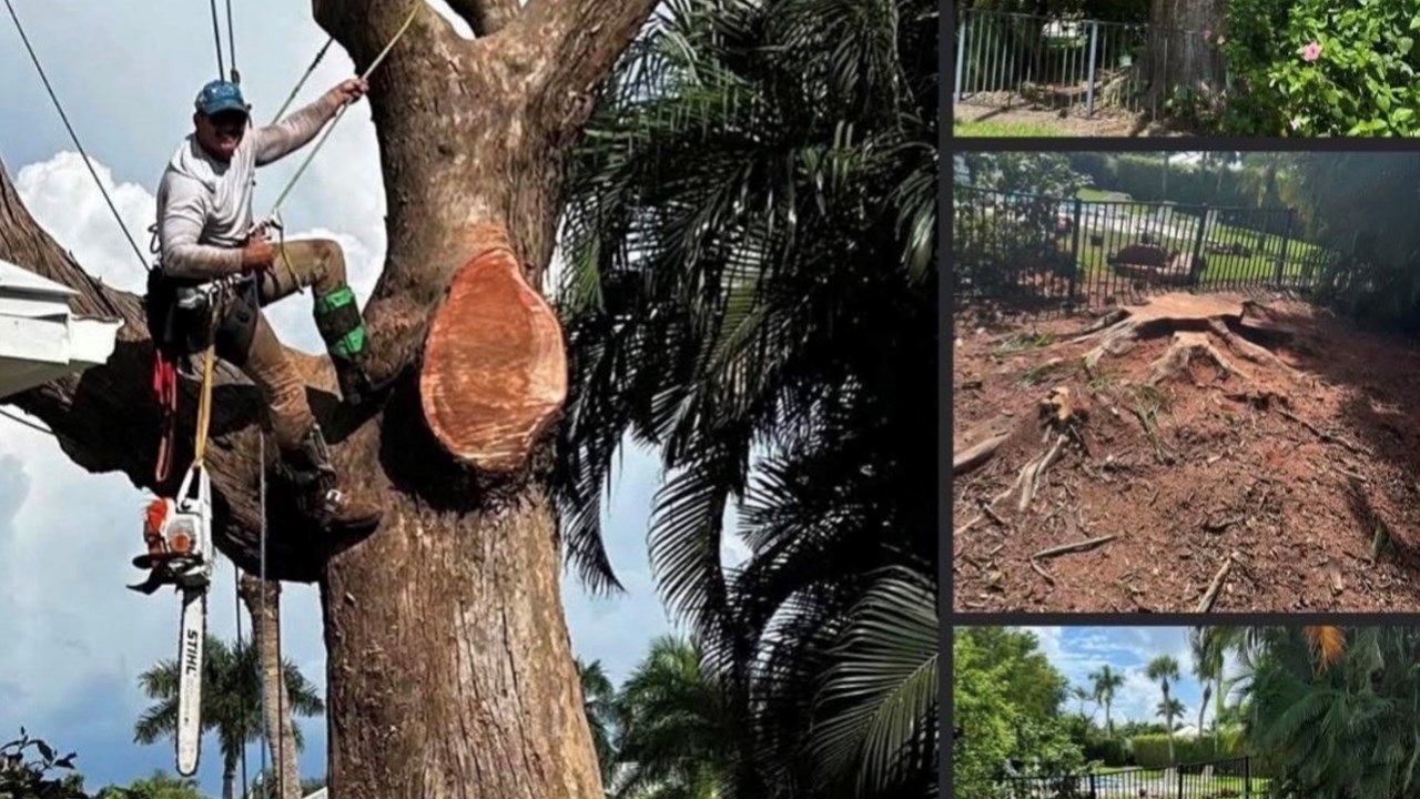 Owner/Climber Richie tree removal SWFL