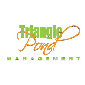 Photo of Triangle Pond Management