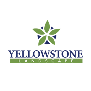 Photo of Yellowstone Landscape