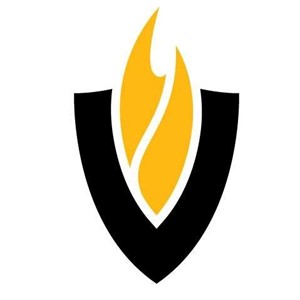 Virtual Academy