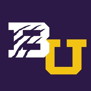 Bethel University