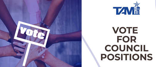 TAM Council Slate Voting 2026