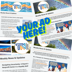 Newsletter Advertisement