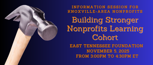 Building Stronger Nonprofits Learning Cohort Information Session - In Person