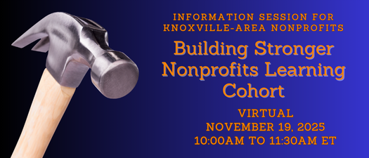 Building Stronger Nonprofits Learning Cohort Information Session - Virtual