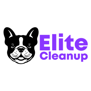 Photo of Elite Cleanup