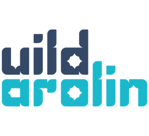 Photo of Build Carolina