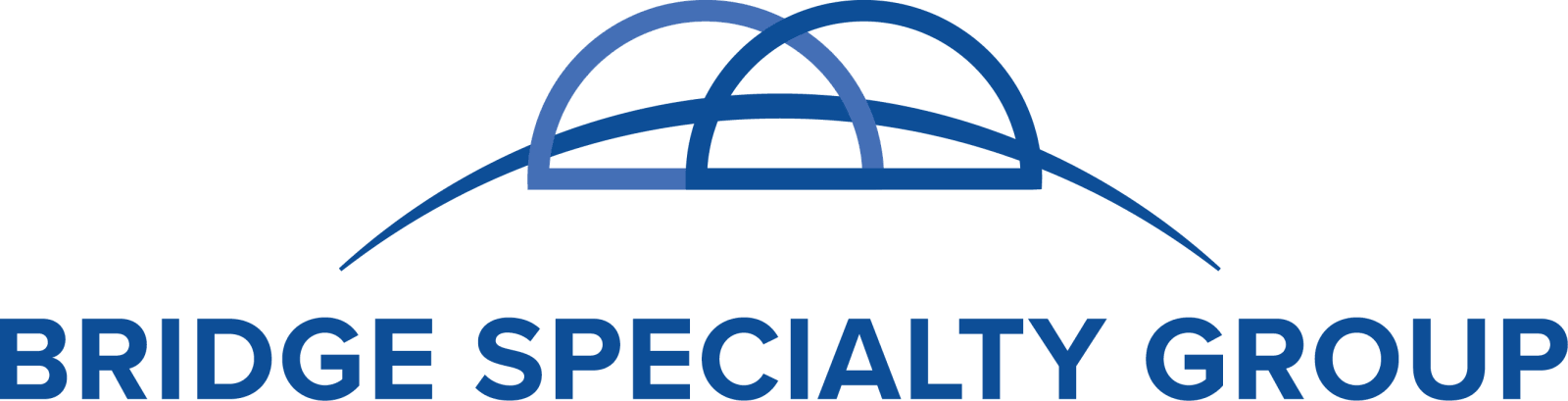 BRIDGE SPECIALTY GROUP.AI-generated content may be incorrect.