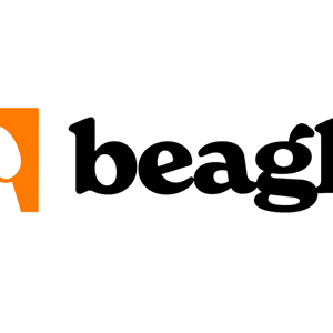 Photo of Beagle