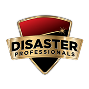 Photo of Disaster Professionals