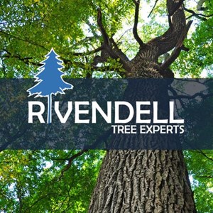 Photo of Rivendell Tree Experts