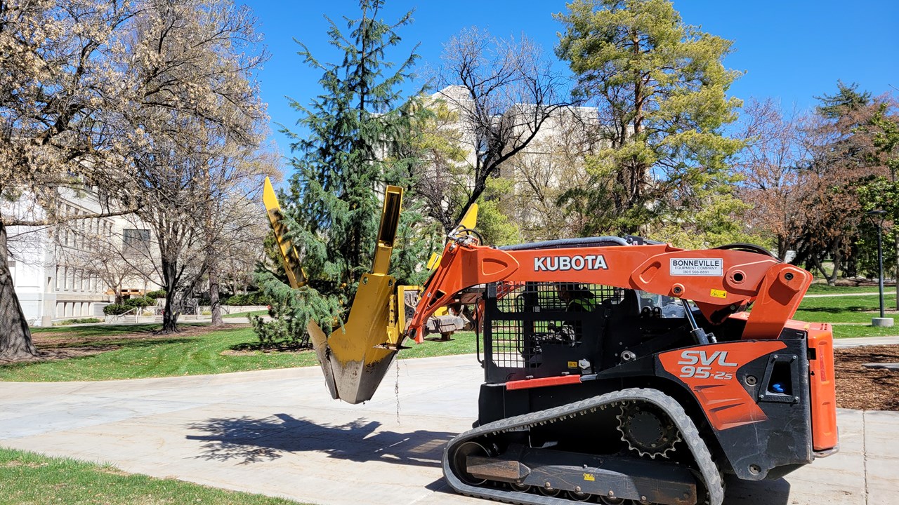 42" Transplanting