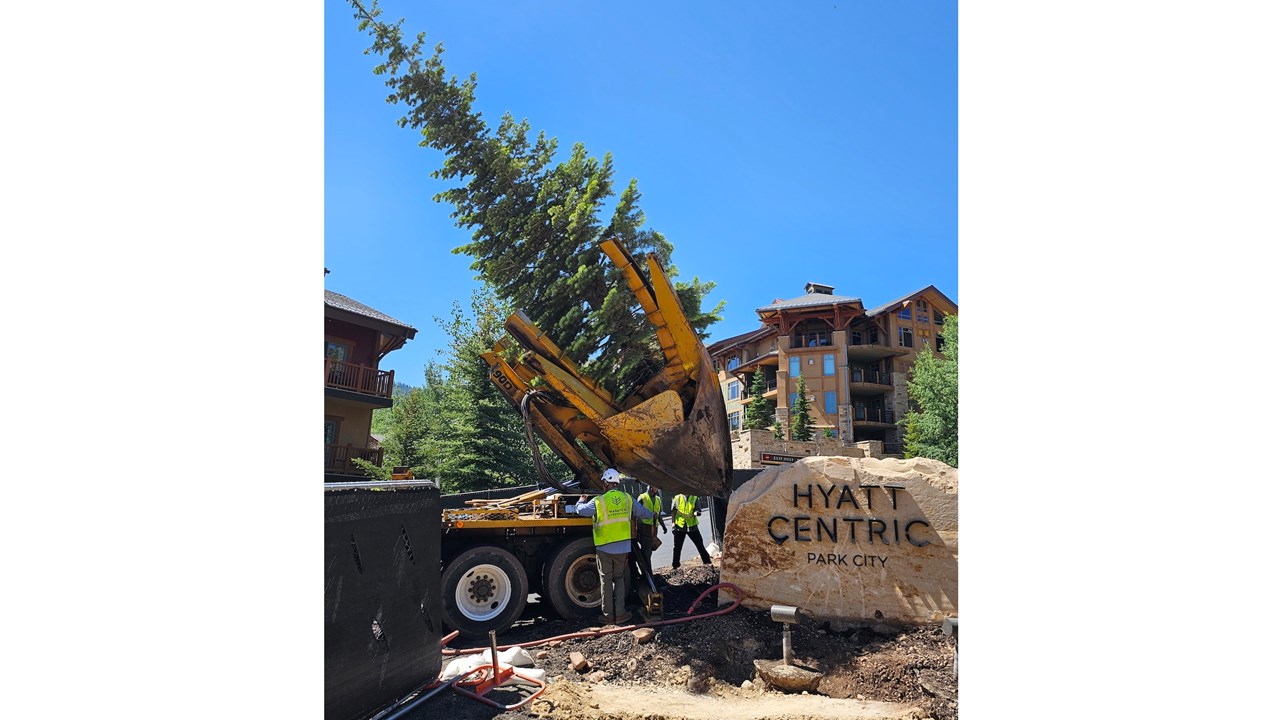 90" Transplanting