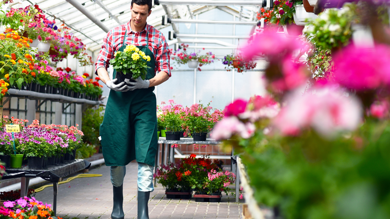 Greenhouse Works