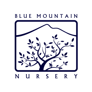 Photo of Blue Mountain Nursery