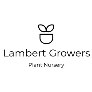 Photo of Lambert Growers