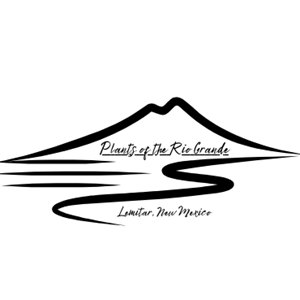 Photo of Plants of the Rio Grande, lc