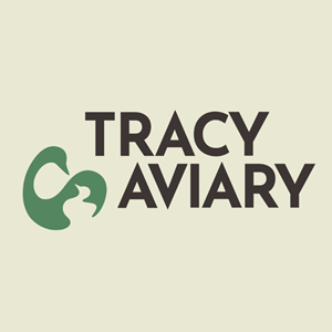 Photo of Tracy Aviary