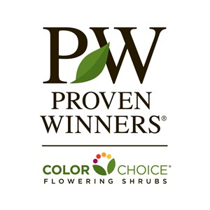 Photo of Proven Winners ColorChoice