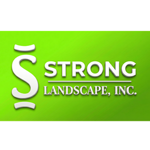 Greg Strong