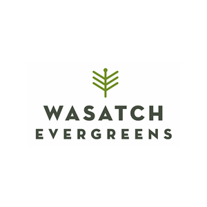 Photo of Wasatch Evergreens