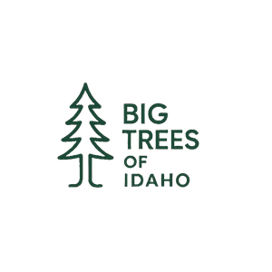 Photo of Big Trees of Idaho
