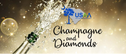 Champagne & Diamonds ~ July Monthly Networking Meeting