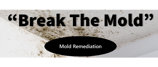 Mold Remediation