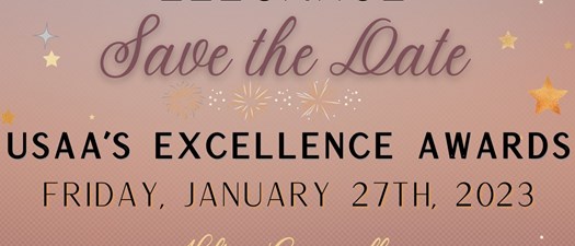 Excellence Awards Nominations 