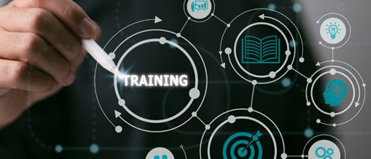 Training Excellence: Train the Trainer 