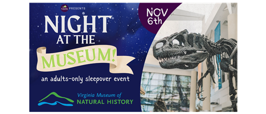 VAM & VMNH - Night at the Museum