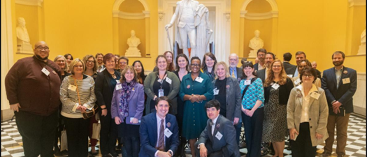 Advocacy Webinar - Demystifying the Commonwealth Budget Process