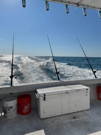 Fishing poles on a boatAI-generated content may be incorrect.