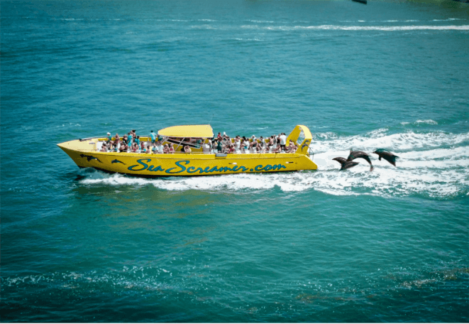 A boat with people on it and dolphins in the waterAI-generated content may be incorrect.