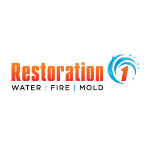 Photo of Restoration 1