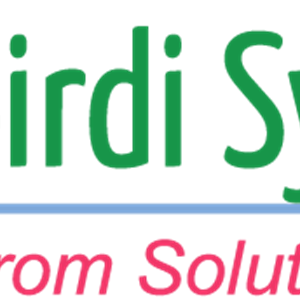 Photo of Birdi Systems, Inc