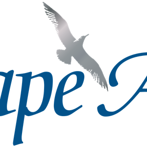 Photo of Cape Air