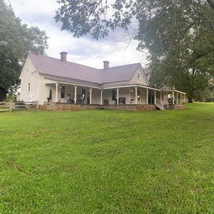 The Leach House & Napping House Airbnb