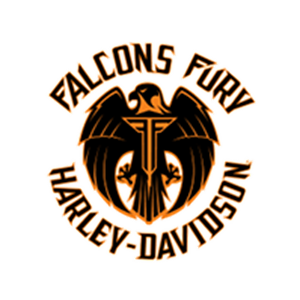 Photo of Falcons Fury Harley Davidson