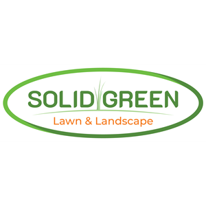 Solid Green Lawn and Landscape