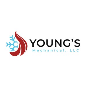Photo of Young's Mechanical Heating and Cooling