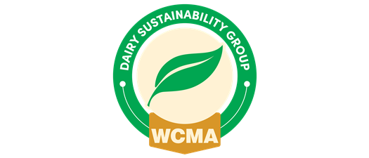 Good Data, Better Decisions:  Building a Stronger Sustainability Data Strategy