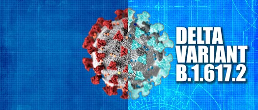 WCMA Webinar: Delta Variant Outbreak Prevention