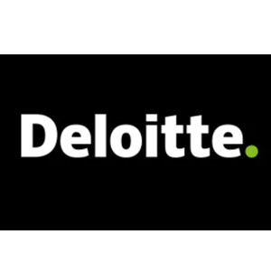 Deloitte and Touche, LLP