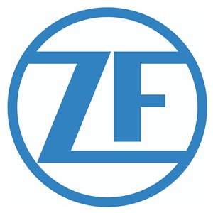 ZF组